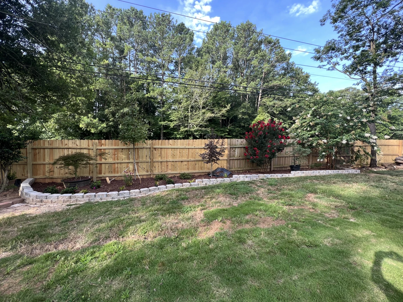 Maintained garden with lawn and planted borders